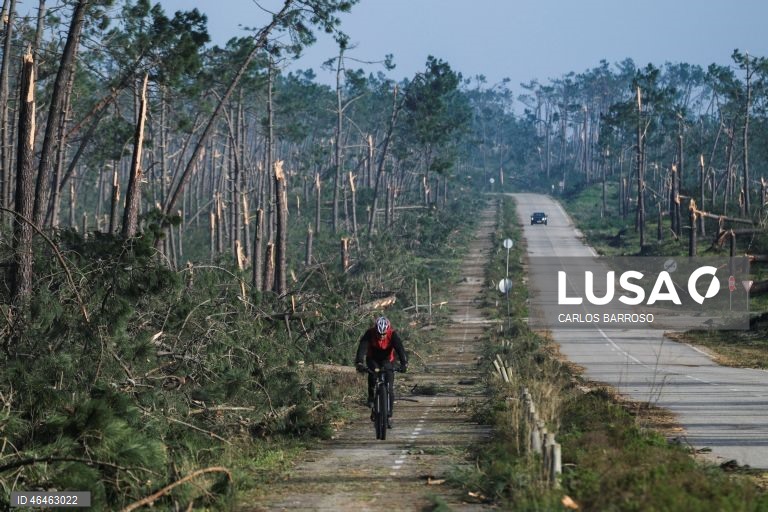 Um ciclista passa pela Mata Nacional na Marinha Grande, na estrada atlântica, depois da passagem da depressão Kristin por Portugal continental, na quarta-feira, deixando um rasto de destruição, causando pelo menos seis mortos, vários feridos e desalojados. O Governo decretou situação de calamidade entre as 00:00 de quarta-feira até às 23:59 de dia 01 de fevereiro para cerca de 60 municípios, número que pode aumentar. CARLOS BARROSO/ LUSA