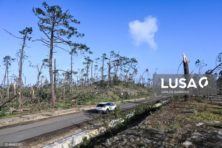 Mata Nacional na Marinha Grande, na estrada atlântica, depois da passagem da depressão Kristin por Portugal continental, na quarta-feira, deixando um rasto de destruição, causando pelo menos seis mortos, vários feridos e desalojados. O Governo decretou situação de calamidade entre as 00:00 de quarta-feira até às 23:59 de dia 01 de fevereiro para cerca de 60 municípios, número que pode aumentar. CARLOS BARROSO/ LUSA
