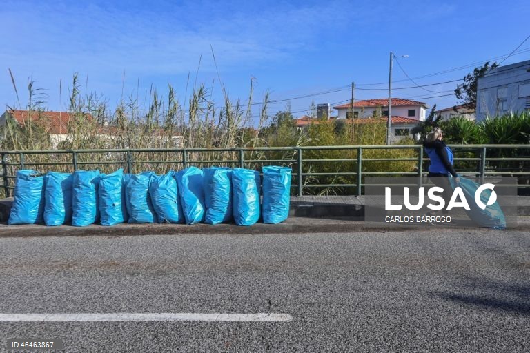 Voluntários ajudam na limpeza das estradas na Marinha Grande, depois da passagem da depressão Kristin por Portugal continental, na quarta-feira, deixando um rasto de destruição, causando pelo menos seis mortos, vários feridos e desalojados. O Governo decretou situação de calamidade entre as 00:00 de quarta-feira até às 23:59 de dia 01 de fevereiro para cerca de 60 municípios, número que pode aumentar. CARLOS BARROSO/ LUSA