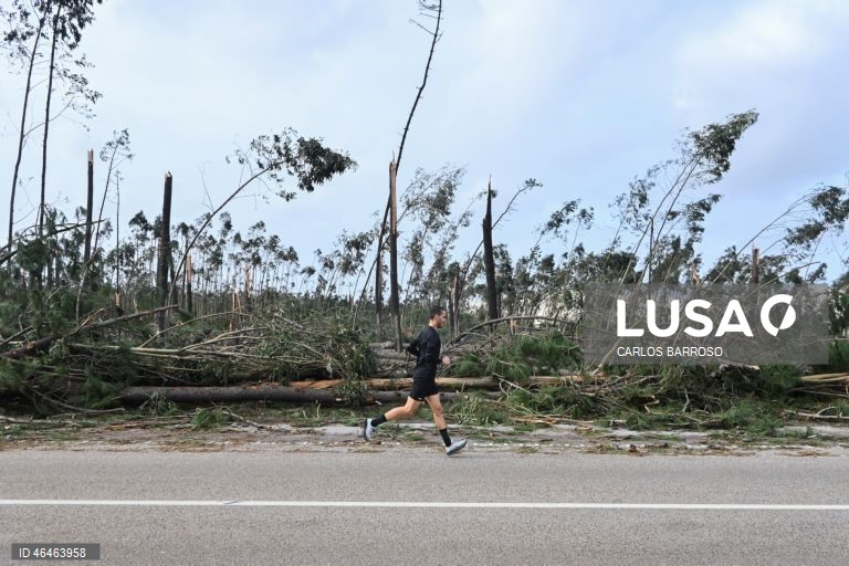 Mata Nacional na Marinha Grande, na estrada atlântica, depois da passagem da depressão Kristin por Portugal continental, na quarta-feira, deixando um rasto de destruição, causando pelo menos seis mortos, vários feridos e desalojados. O Governo decretou situação de calamidade entre as 00:00 de quarta-feira até às 23:59 de dia 01 de fevereiro para cerca de 60 municípios, número que pode aumentar. CARLOS BARROSO/ LUSA