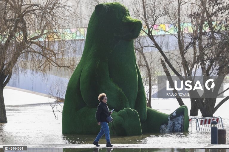 A subida da água do Rio Mondego, causou inundações nos jardins e nos restaurantes do Parque Verde do Mondego, em Coimbra, 31 de janeiro de 2026. A situação dos níveis de água no rio Mondego, em Montemor-o-Velho, mantém-se “estável e controlada”, sendo que a subida da água na vale agrícola “está a ser efetuada de forma planeada e preventiva”, anunciou hoje a Câmara Municipal. PAULO NOVAIS/LUSA