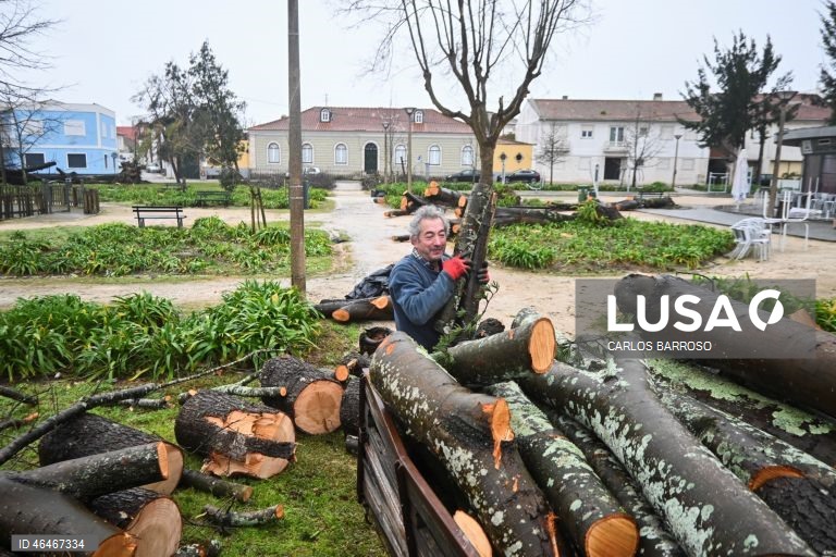 Residentes na Marinha Grande, limpam os detritos provocados pelo mau tempo nas ruas da Marinha Grande. A passagem da depressão Kristin por Portugal continental, na quarta-feira, deixou um rasto de destruição, causando pelo menos cinco mortos, segundo a Proteção Civil, vários feridos e desalojados.Marinha Grande, 01 de fevereiro de 2026. CARLOS BARROSO/LUSA