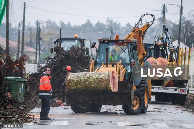 Limpeza dos detritos nas ruas da Marinha Grande, depois da passagem da depressão Kristin em Embra, Marinha Grande, 01 de fevereiro de 2026. A passagem da depressão Kristin por Portugal continental, na quarta-feira, causou pelo menos cinco mortos, segundo a Proteção Civil, vários feridos e desalojados. CARLOS BARROSO/LUSA