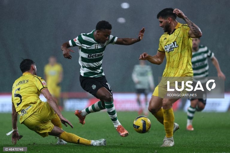 O Sporting colocou-se hoje, provisoriamente, a quatro pontos do líder FC Porto, ao vencer em casa o Nacional por 2-1, em encontro da 20.ª jornada, para o terceiro triunfo consecutivo nos descontos em todas as provas.