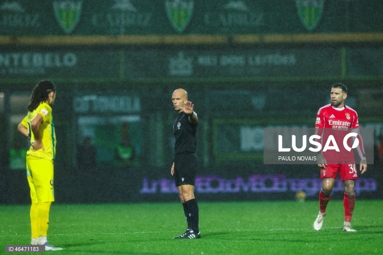 O Benfica, ainda invicto, cedeu hoje o sétimo empate na edição 2025/26 da I Liga portuguesa de futebol, ao ficar-se por um ‘nulo’ em Tondela, em encontro da 20.ª jornada da prova.