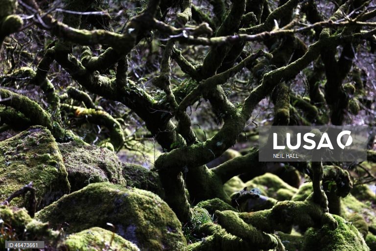 Dia Mundial das Zonas Húmidas