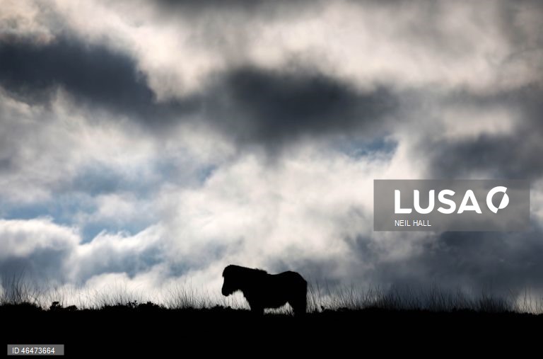 Dia Mundial das Zonas Húmidas