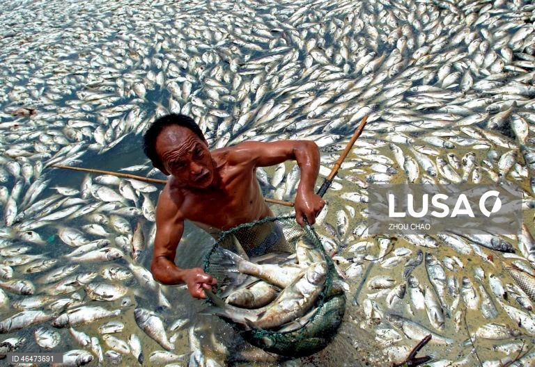 Dia Mundial das Zonas Húmidas