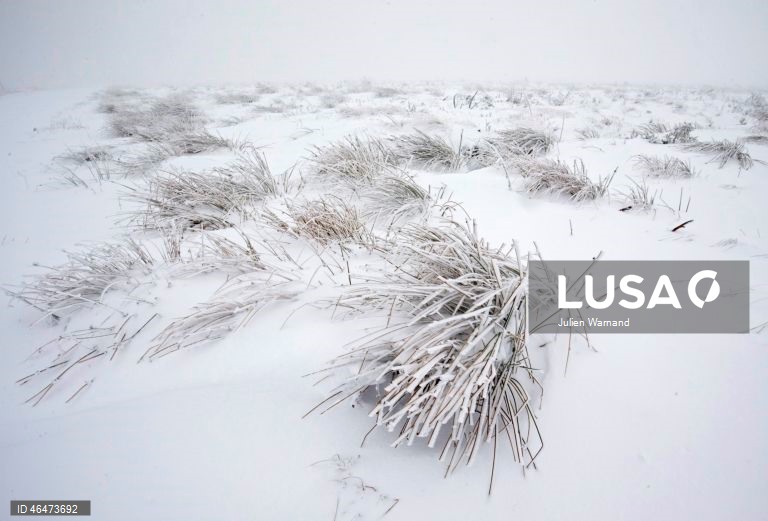 Dia Mundial das Zonas Húmidas