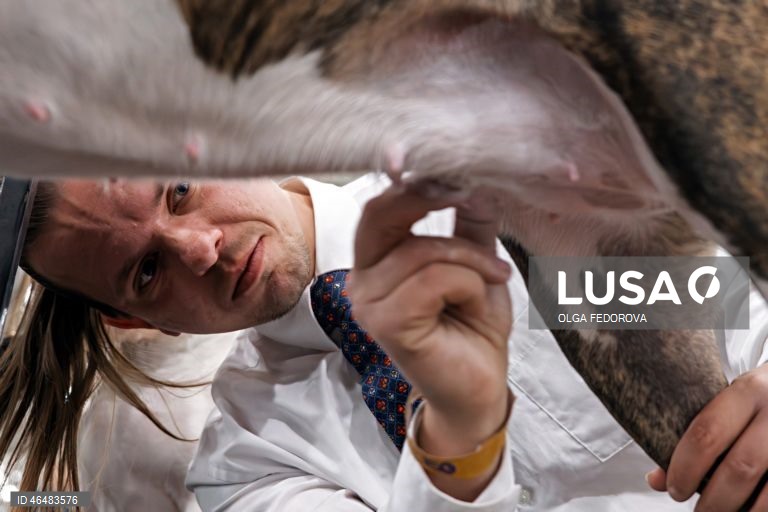 EUA: 150º Show Canino de Westminster Kennel  Club em Nova Iorque