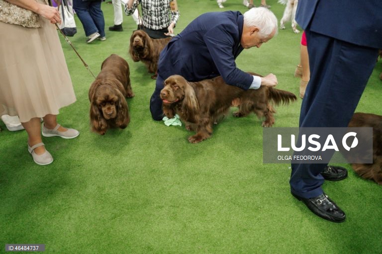 EUA: 150º Show Canino de Westminster Kennel  Club em Nova Iorque