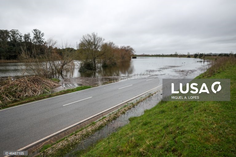 Uma estrada inundada devido à passagem da depressão Leonardo, Montemor-o-Velho, 04 de fevereiro de 2026. Todos os distritos de Portugal continental estão hoje e quinta-feira sob aviso amarelo devido à previsão de chuva por vezes forte, passando a aguaceiros, devido à passagem da depressão Leonardo, segundo o IPMA. MIGUEL A. LOPES/LUSA