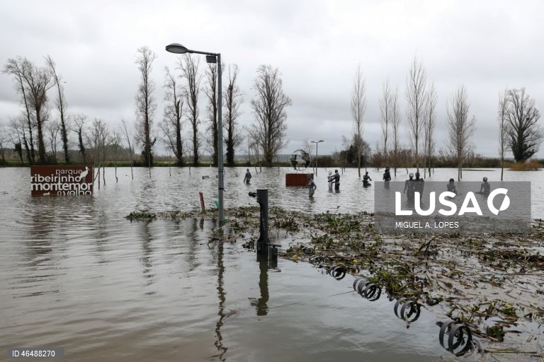 Parque ribeirinho inundado devido à passagem da depressão Leonardo, Montemor-o-Velho, 04 de fevereiro de 2026. Todos os distritos de Portugal continental estão hoje e quinta-feira sob aviso amarelo devido à previsão de chuva por vezes forte, passando a aguaceiros, devido à passagem da depressão Leonardo, segundo o IPMA. MIGUEL A. LOPES/LUSA