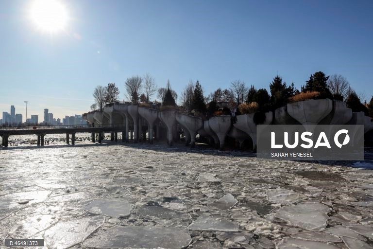 EUA: Gelo acumula-se no rio Hudson durante uma onda de frio em Nova Iorque