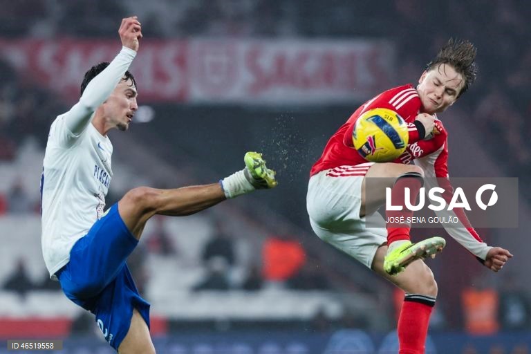 I Liga: Benfica vs Alverca