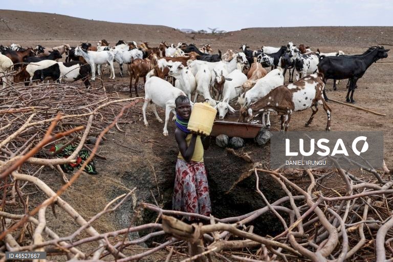 Quénia: Situação de seca no condado de Turkana