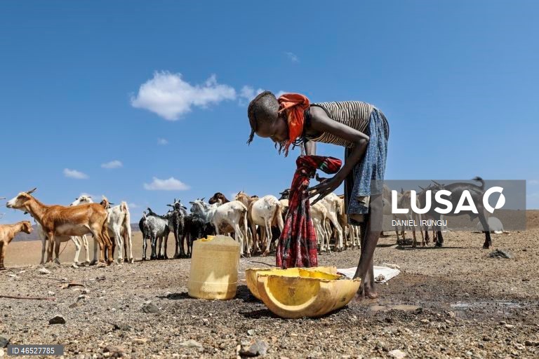Quénia: Situação de seca no condado de Turkana