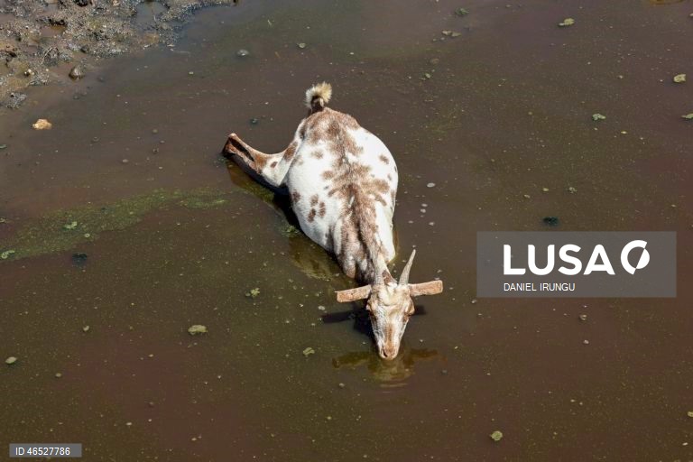 Quénia: Situação de seca no condado de Turkana