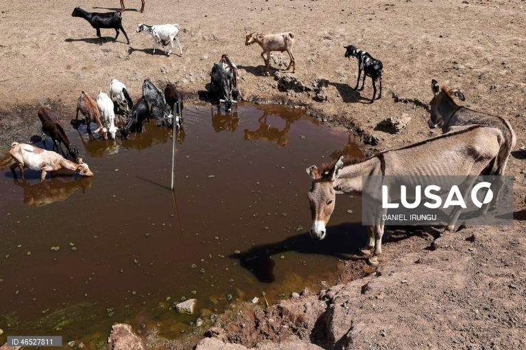 Quénia: Situação de seca no condado de Turkana