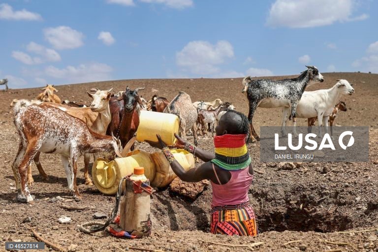 Quénia: Situação de seca no condado de Turkana