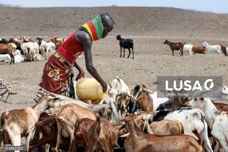 Quénia: Situação de seca no condado de Turkana
