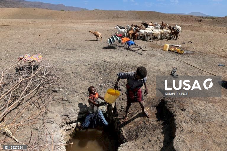 Quénia: Situação de seca no condado de Turkana