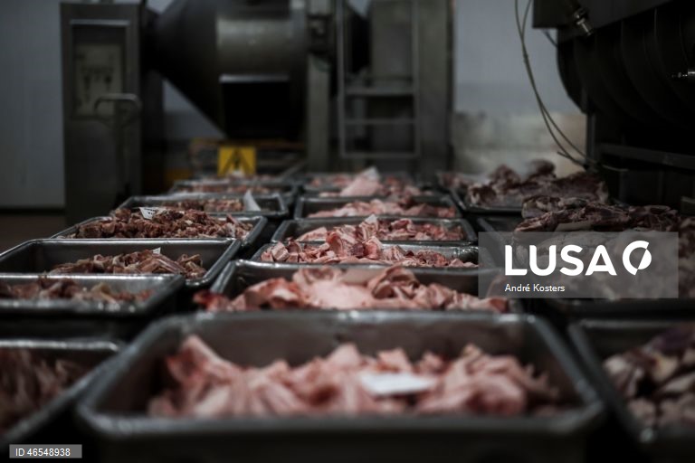 Processo de fabricação de salsichas na fábrica de Indústria e Comércio de Carnes, Sicasal, em Vila Franca do Rosário, Mafra.