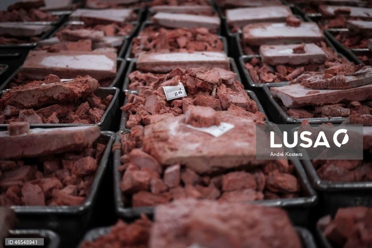 Processo de fabricação de salsichas na fábrica de Indústria e Comércio de Carnes, Sicasal, em Vila Franca do Rosário, Mafra.