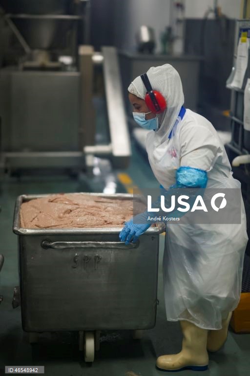Processo de fabricação de salsichas na fábrica de Indústria e Comércio de Carnes, Sicasal, em Vila Franca do Rosário, Mafra.
