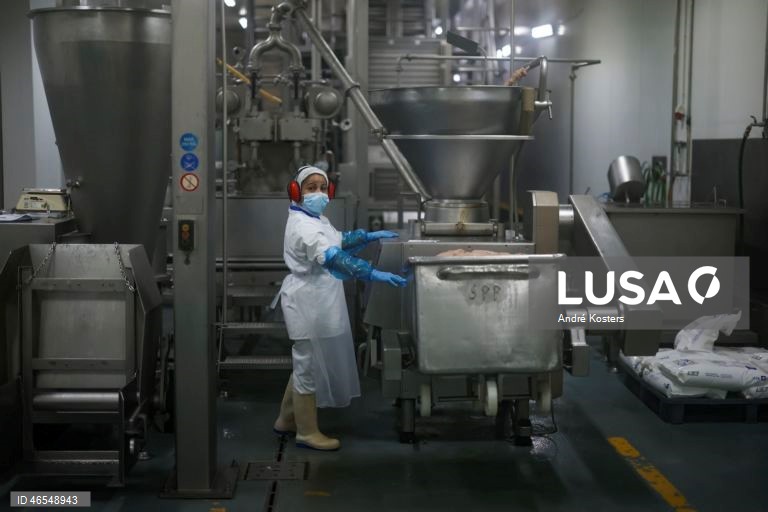 Processo de fabricação de salsichas na fábrica de Indústria e Comércio de Carnes, Sicasal, em Vila Franca do Rosário, Mafra.