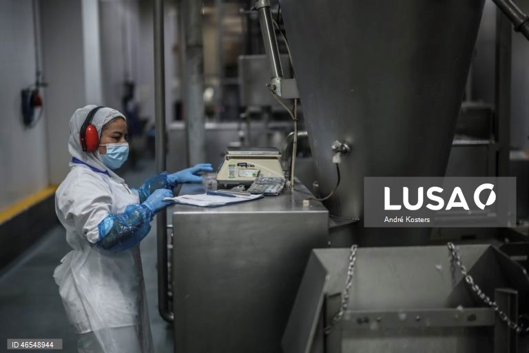 Processo de fabricação de salsichas na fábrica de Indústria e Comércio de Carnes, Sicasal, em Vila Franca do Rosário, Mafra.