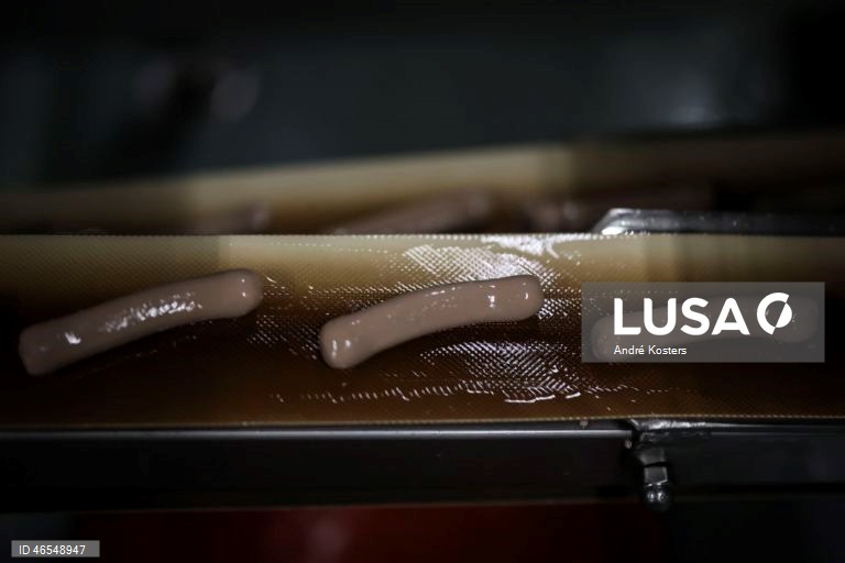 Processo de fabricação de salsichas na fábrica de Indústria e Comércio de Carnes, Sicasal, em Vila Franca do Rosário, Mafra.