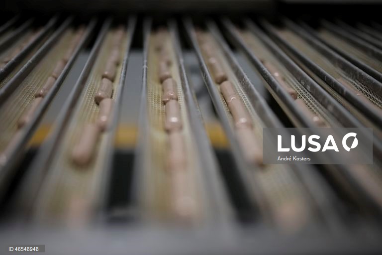 Processo de fabricação de salsichas na fábrica de Indústria e Comércio de Carnes, Sicasal, em Vila Franca do Rosário, Mafra.