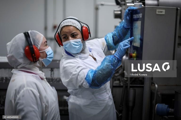 Processo de fabricação de salsichas na fábrica de Indústria e Comércio de Carnes, Sicasal, em Vila Franca do Rosário, Mafra.