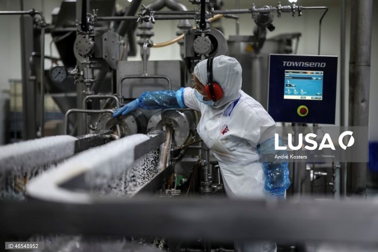 Processo de fabricação de salsichas na fábrica de Indústria e Comércio de Carnes, Sicasal, em Vila Franca do Rosário, Mafra.