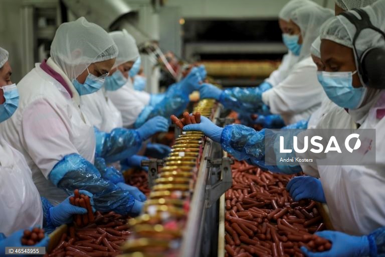 Processo de fabricação de salsichas na fábrica de Indústria e Comércio de Carnes, Sicasal, em Vila Franca do Rosário, Mafra.