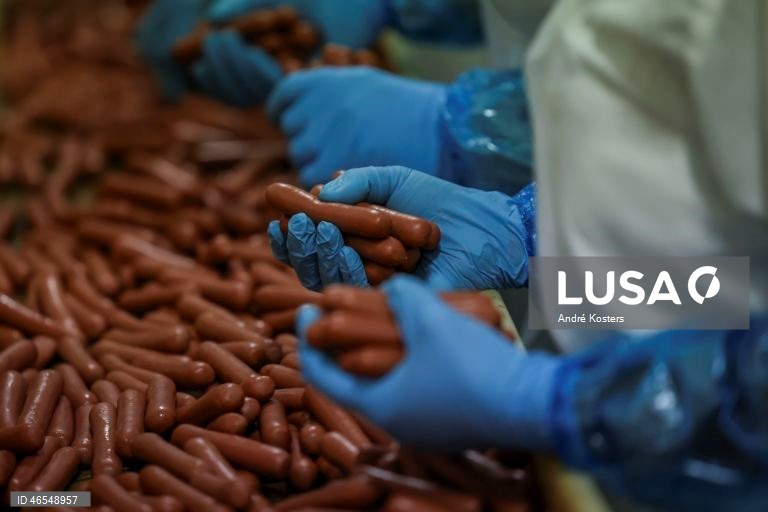 Processo de fabricação de salsichas na fábrica de Indústria e Comércio de Carnes, Sicasal, em Vila Franca do Rosário, Mafra.