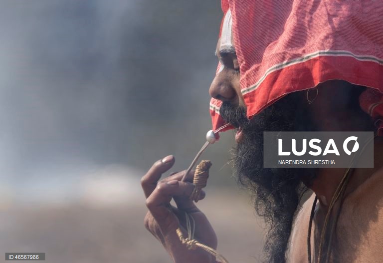 Festival Maha Shivaratri no Templo Pashupati em Katmandu, Nepal que é considerado um dos festivais mais auspiciosos para a comunidade hindu. Centenas de sadhus e peregrinos de todo o país e da vizinha Índia reúnem-se para celebrar o aniversário do deus Shiva, deus da criação e da destruição, oferecendo orações especiais e jejuando. A venda de maconha é ilegal no Nepal; no entanto, as autoridades ignoram a venda e o uso de maconha neste dia.