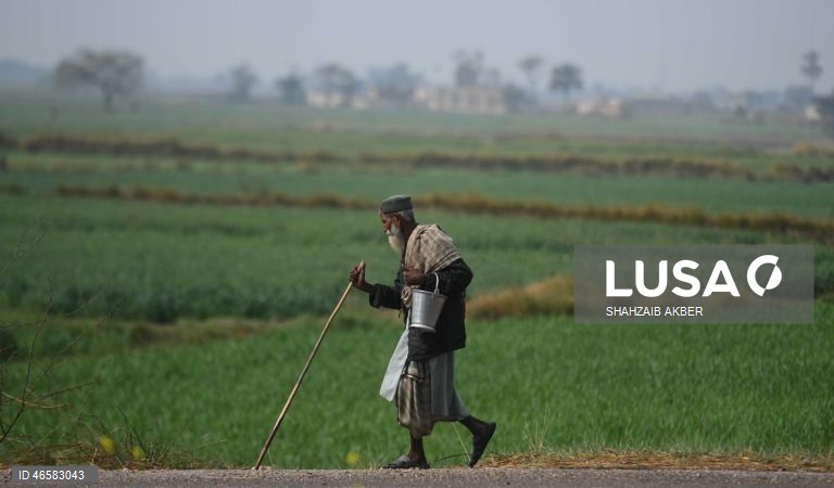 Vida quotidiano no Paquistão