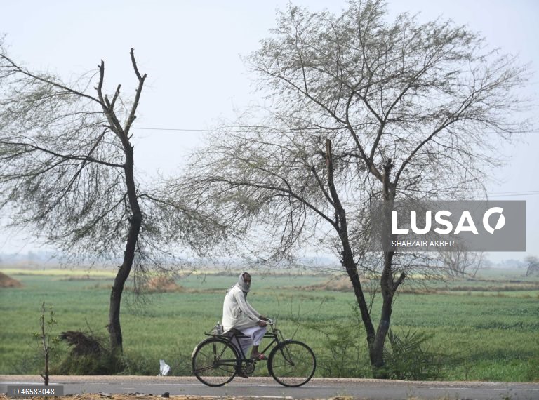 Vida quotidiano no Paquistão