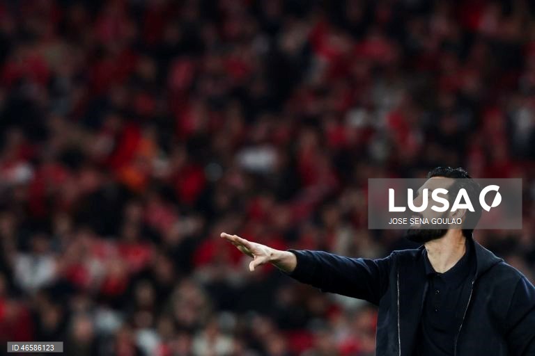 Liga dos Campeões: Benfica vs Real Madrid