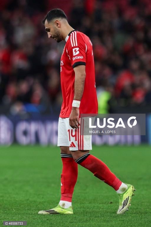 Liga dos Campeões: Benfica vs Real Madrid