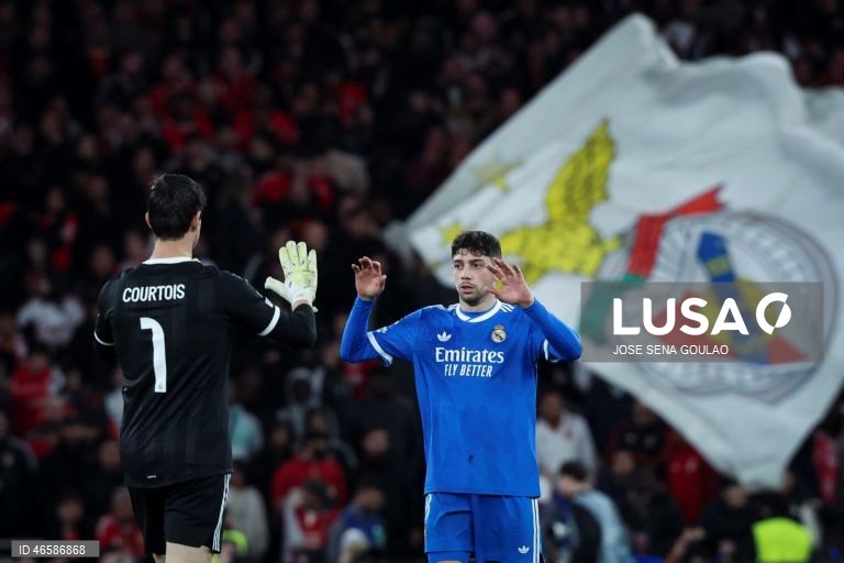 Liga dos Campeões: Benfica vs Real Madrid