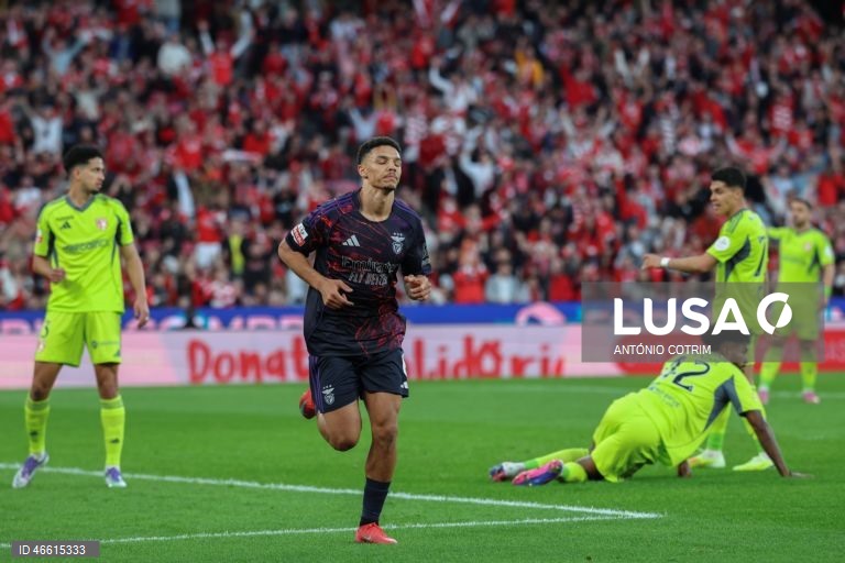 O Benfica venceu hoje confortavelmente em casa ao lanterna-vermelha AVS, por 3-0, num jogo da 23.ª jornada da I Liga portuguesa de futebol, entre os embates com o Real Madrid, para a Liga dos Campeões.