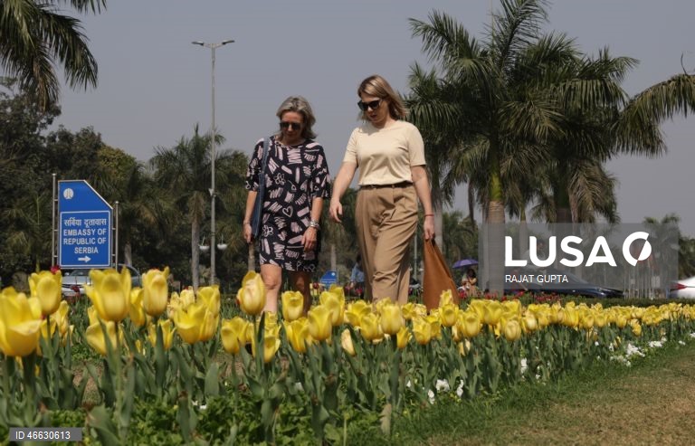 Índia: Festival da Tulipa em Nova Deli