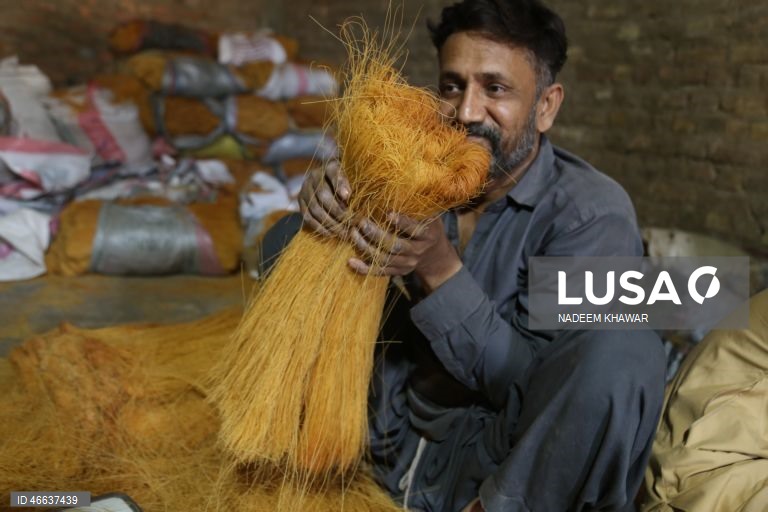 Paquistão: Produção artesanal de massa de aletria em Hyderabad