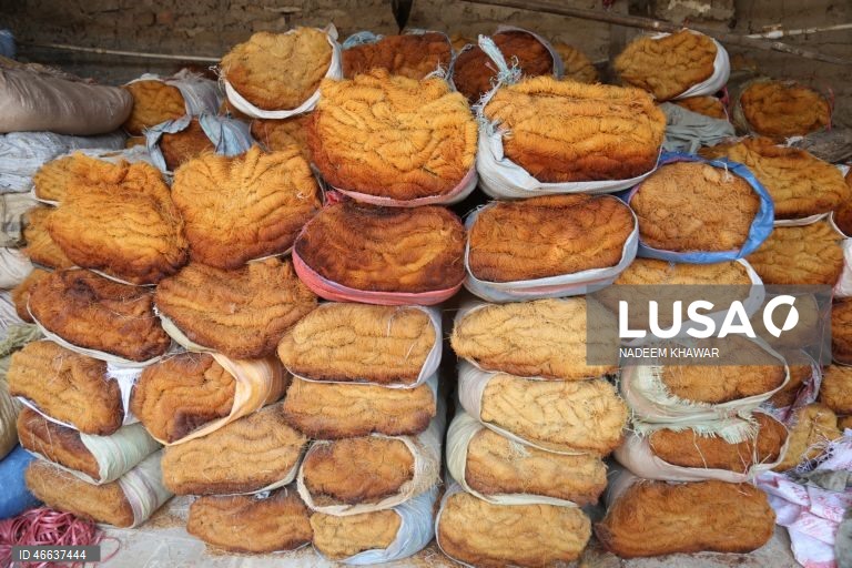 Paquistão: Produção artesanal de massa de aletria em Hyderabad