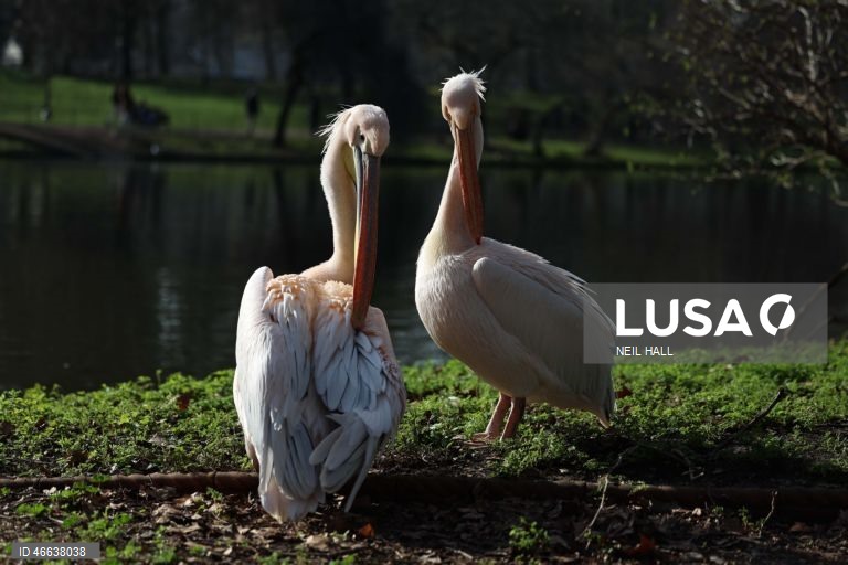 Reino Unido: Tempo primaveril em Londres