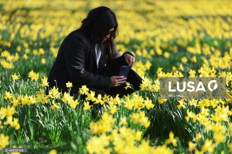 Reino Unido: Tempo primaveril em Londres