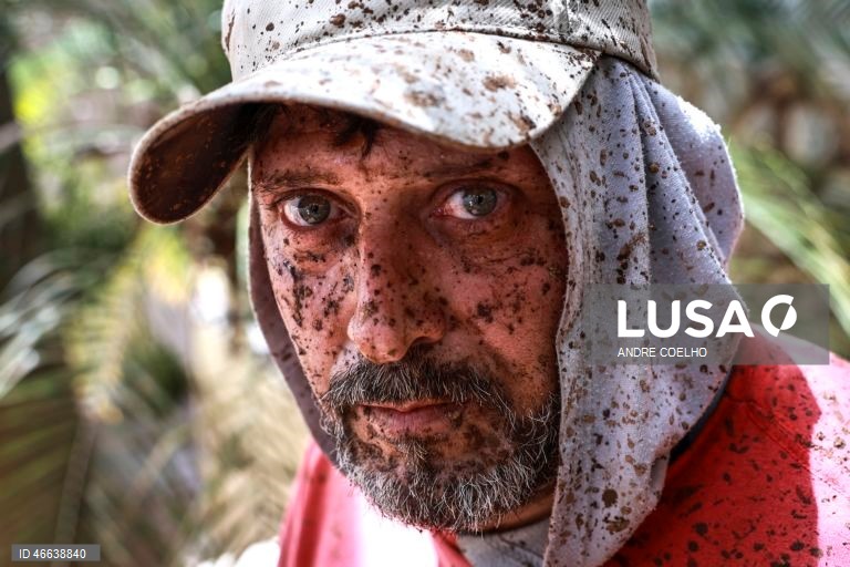 Brasil: Tempestade em Minas Gerais provoca mortes e desaparecidos